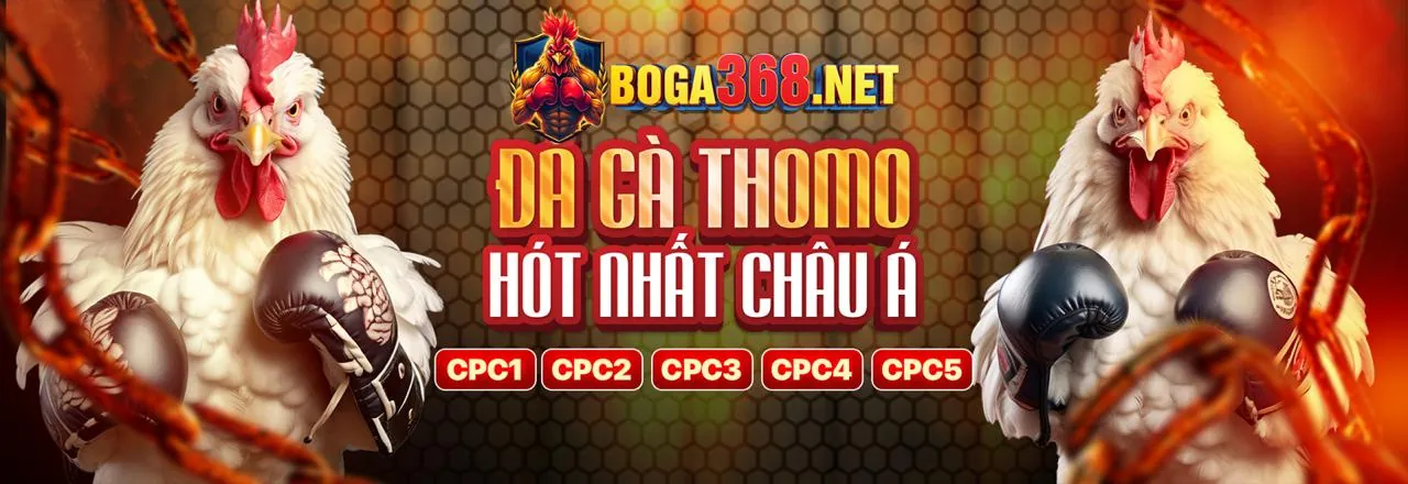 Hình ảnh chính blog 5699 nhà cái