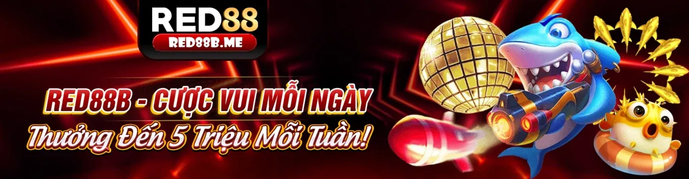 Tin tức & Cập nhật mới nhất